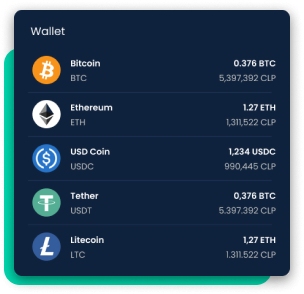 Example of a Skipo wallet showing the balance of different cryptocurrencies