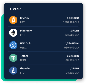 Ejemplo de una billetera Skipo mostrando el saldo de diferentes criptomonedas